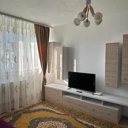 Velovan Apartment Craiova Bagian luar foto