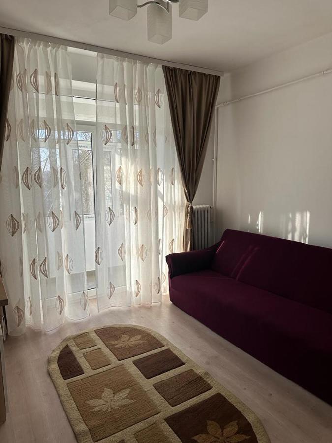 Velovan Apartment Craiova Bagian luar foto