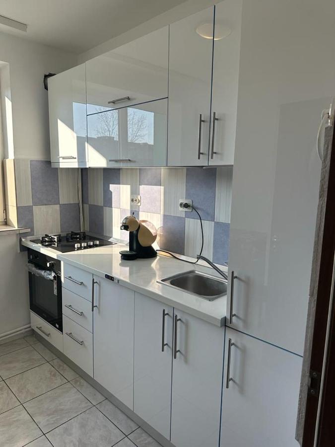 Velovan Apartment Craiova Bagian luar foto